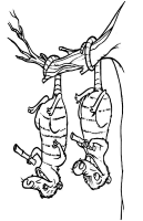 A coloring page of ice age
